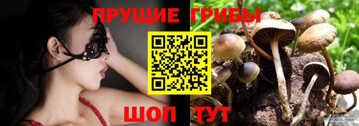 Галлюциногенные грибы ЛСД Малоярославец